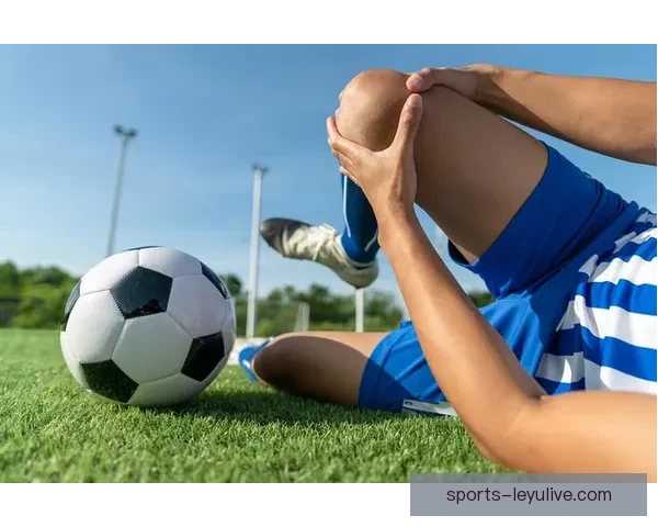 全面解析体育竞猜投注策略 提升胜率的实用技巧与建议